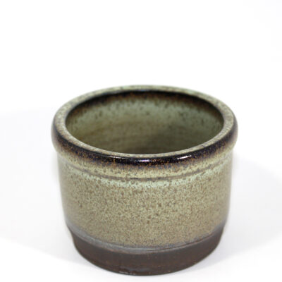 Small Mossy Green Succulent or Cho-mini Bonsai Planter